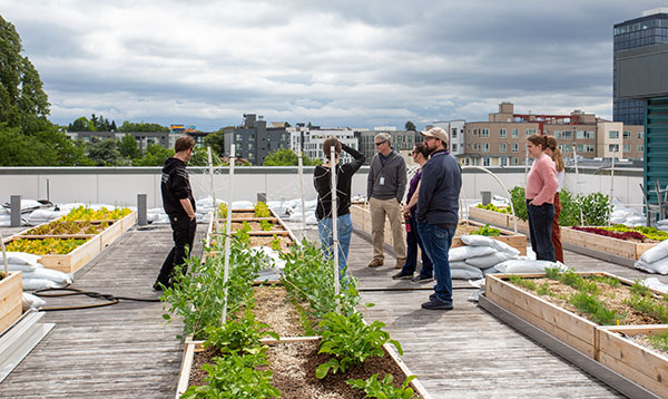 group of people on a rooftop with raised beds